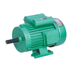 Electric Motor